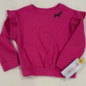 NWT Cat & Jack Pink Ruffle Long Sleeve Hand Embroidered “Peyton” Shirt 18 months